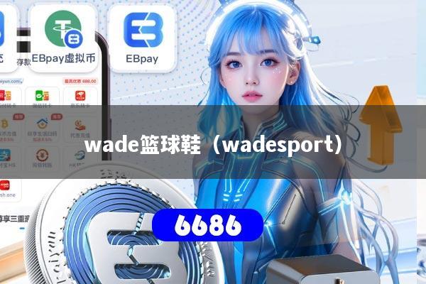 wade篮球鞋（wadesport）